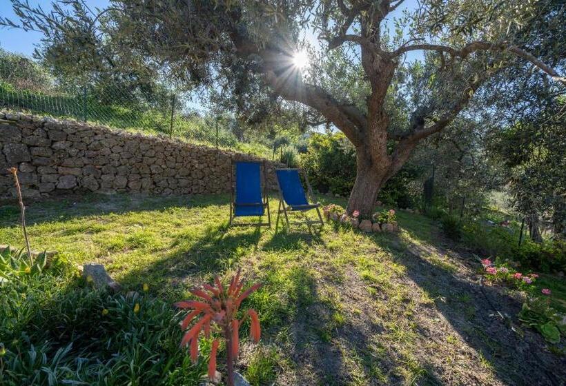 ペンション Il Poggetto Di Porto Ercole Affittacamere