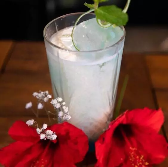 Airport Hotel Casino Du Cap Vert