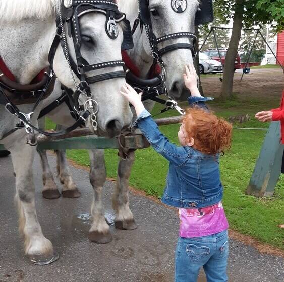 Bayview Wildwood Resort, Ascend Hotel Collection