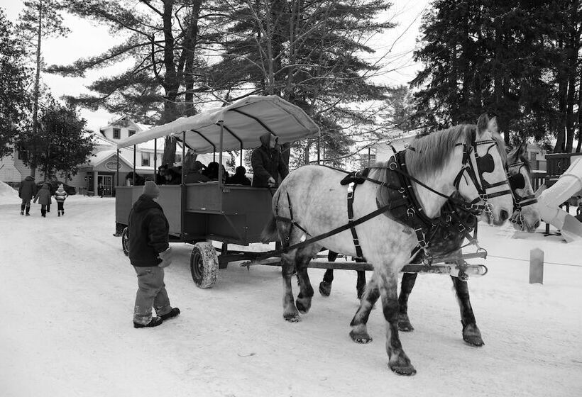 Bayview Wildwood Resort, Ascend Hotel Collection