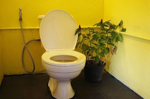 Dorm Des Fleurs   Hostel