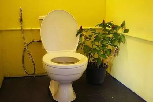 Dorm Des Fleurs   Hostel