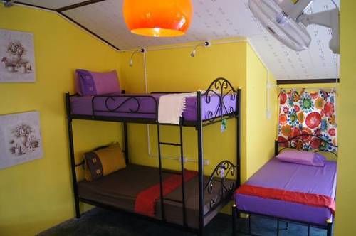 Dorm Des Fleurs   Hostel