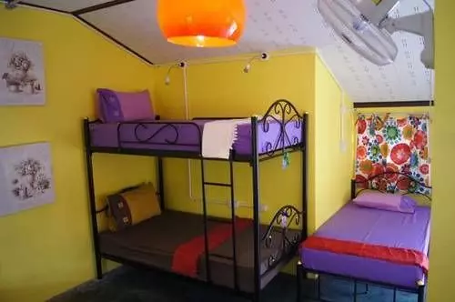 Dorm Des Fleurs   Hostel