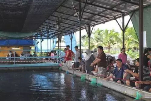 Hotel Gallop Kranji Farm Resort