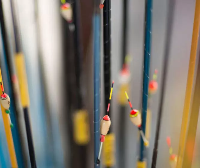 Hotel Gallop Kranji Farm Resort