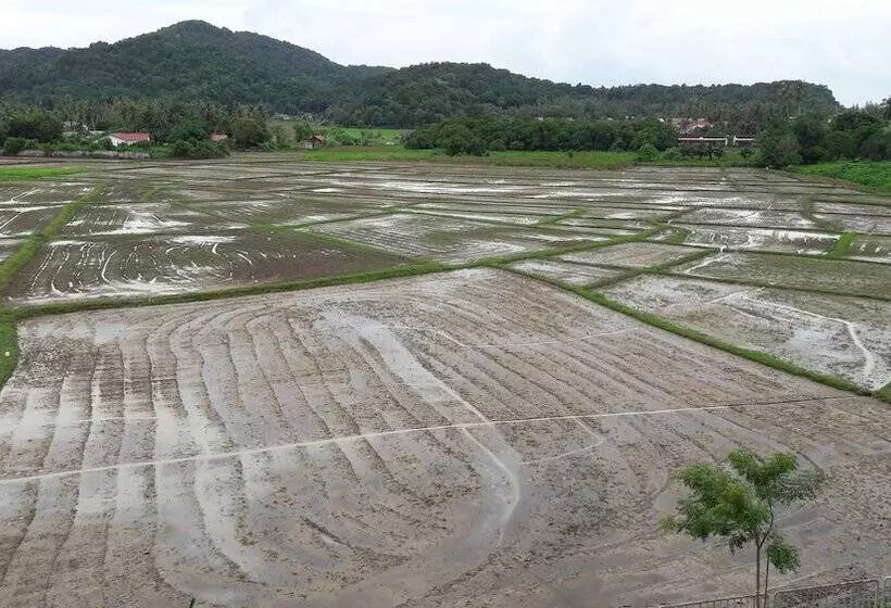 Отель Salsa Resort Langkawi