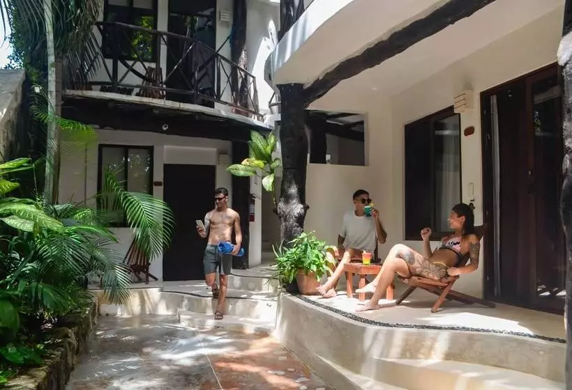 Siesta Fiesta Hotel Adults Only   5th Avenue