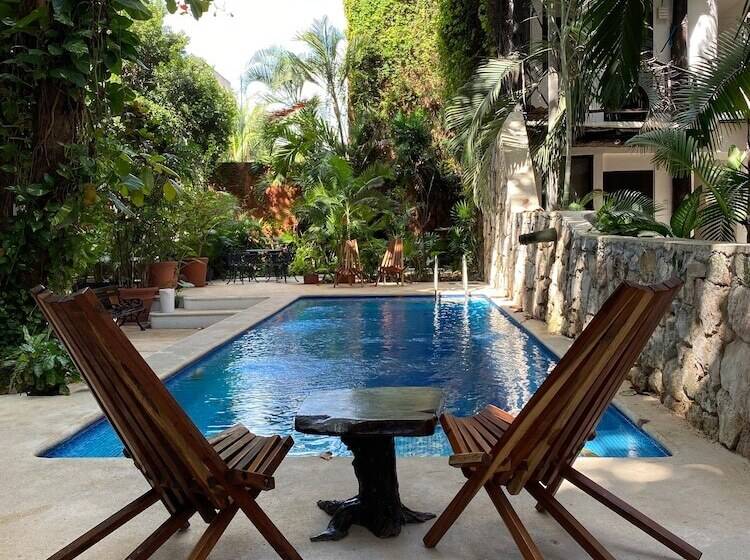 Siesta Fiesta Hotel Adults Only   5th Avenue