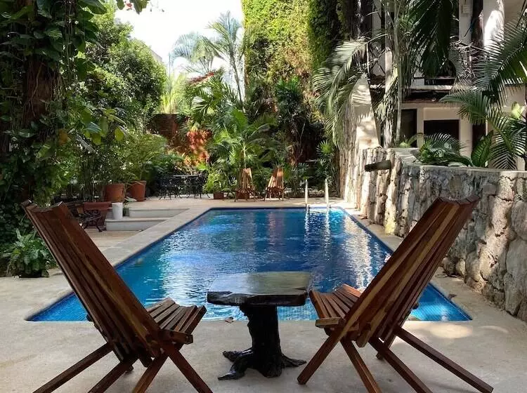 Siesta Fiesta Hotel Adults Only   5th Avenue