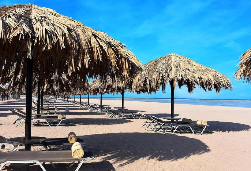 فندق Steigenberger Alcazar