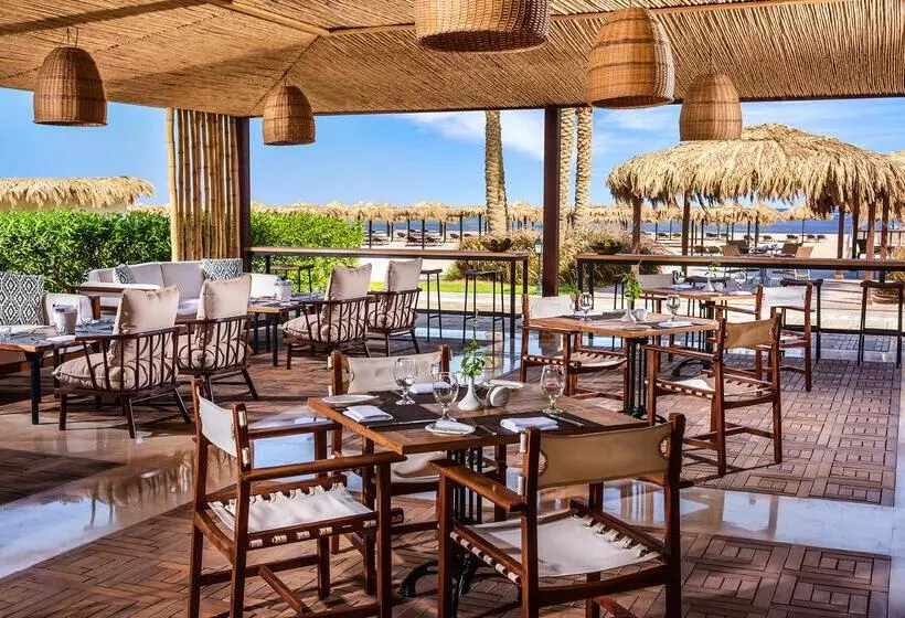 فندق Steigenberger Alcazar