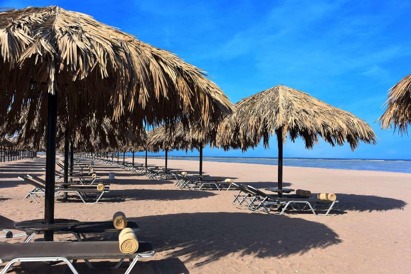 فندق Steigenberger Alcazar