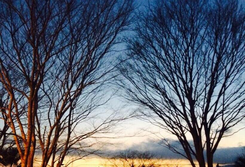 Lilac Hotels And Resort