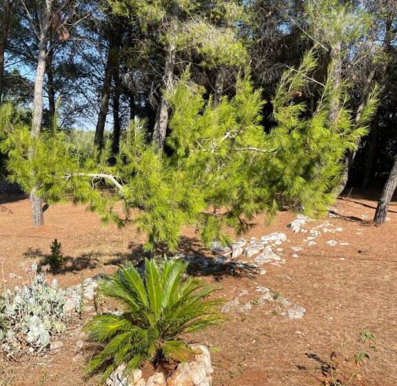 פנסיון Da Ksenia