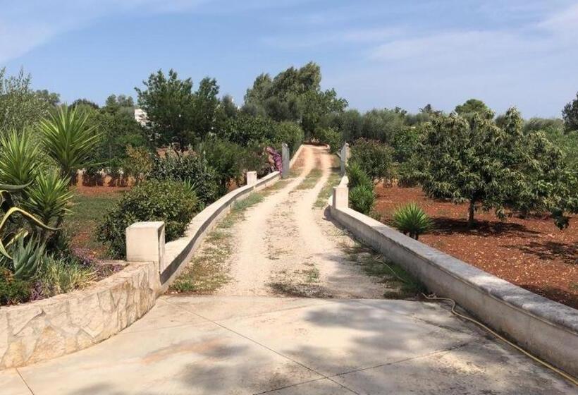 פנסיון Da Ksenia