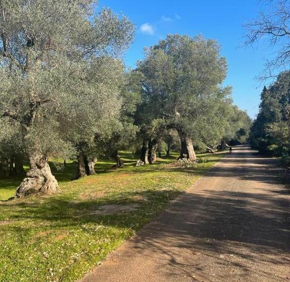 פנסיון Da Ksenia