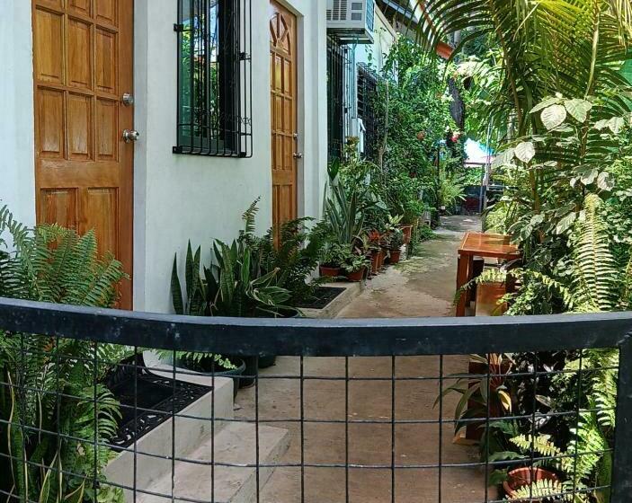 ユースホステル Susing Seaside Guesthouse