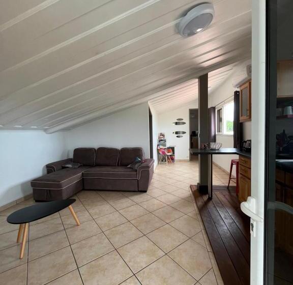 پانسیون La Villa Exotik