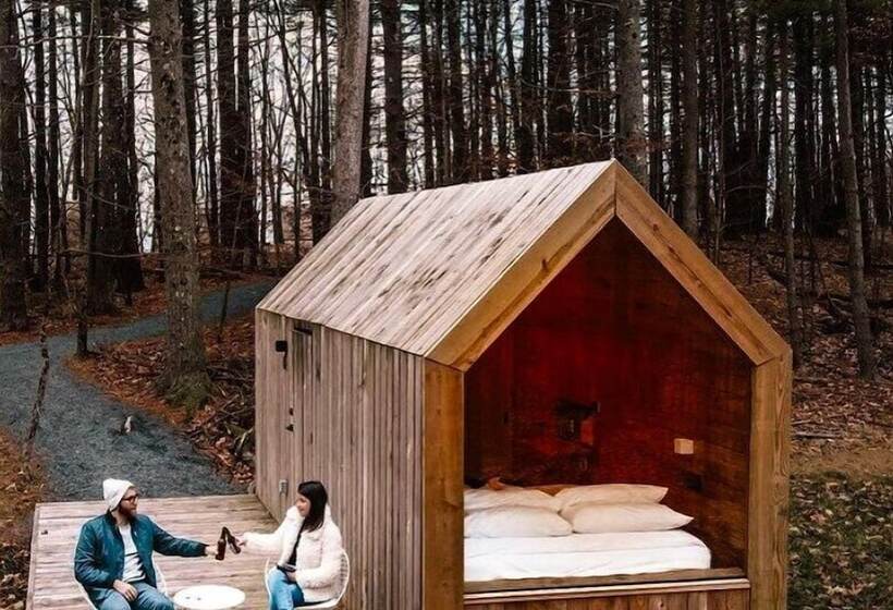 מלון כמוסות Gather Greene