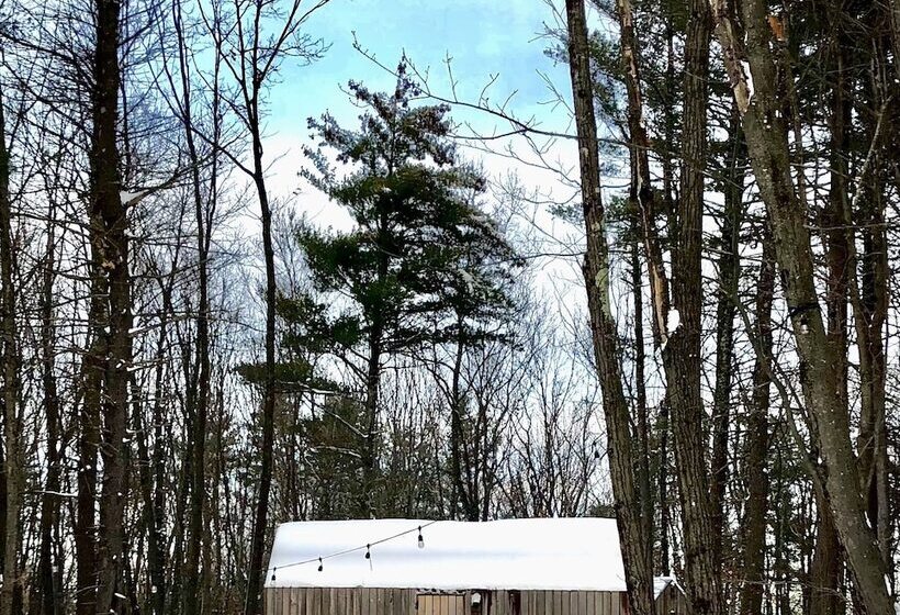 מלון כמוסות Gather Greene