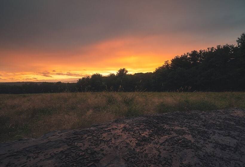 מלון כמוסות Gather Greene