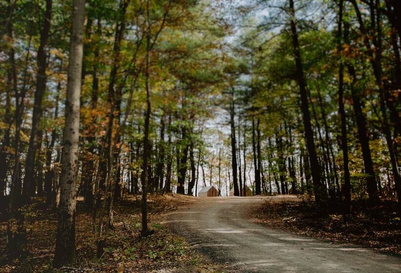 מלון כמוסות Gather Greene