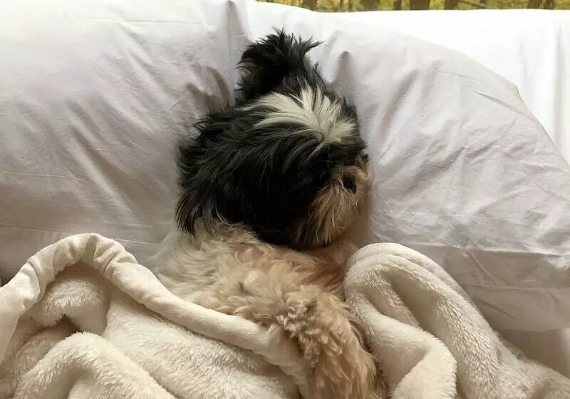 Kapselihotelli Gather Greene