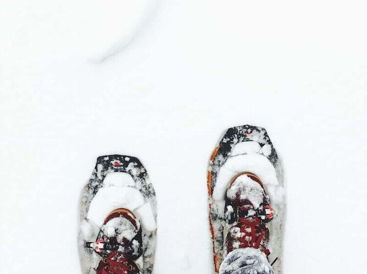 מלון כמוסות Gather Greene