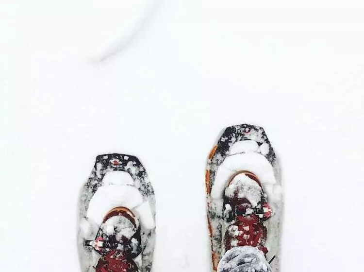 Kapselihotelli Gather Greene