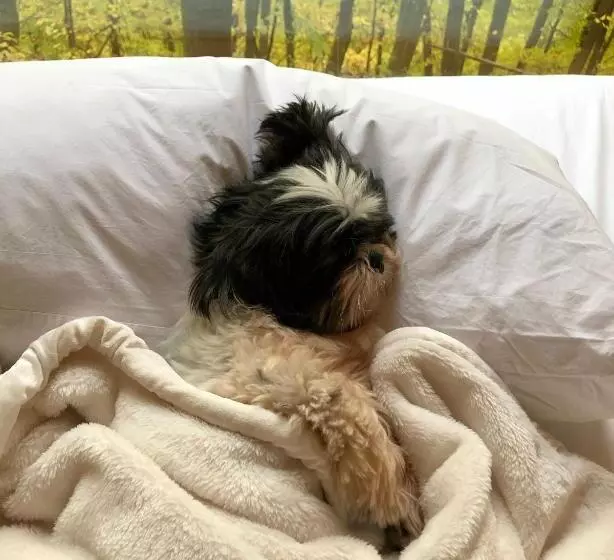 Kapselihotelli Gather Greene