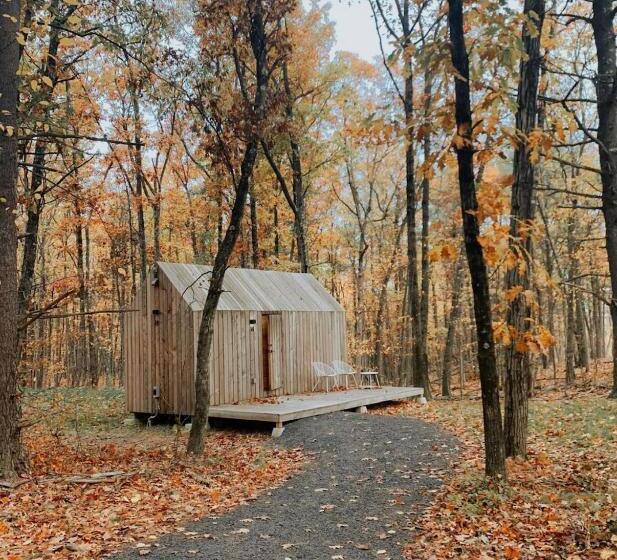 מלון כמוסות Gather Greene