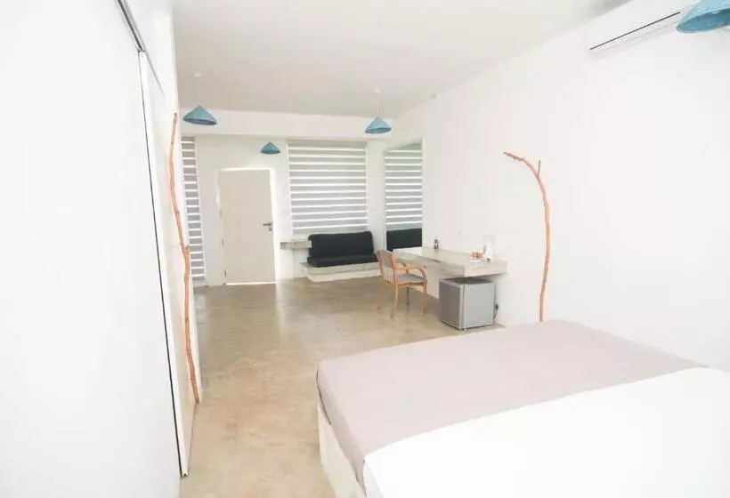 Nava B&b