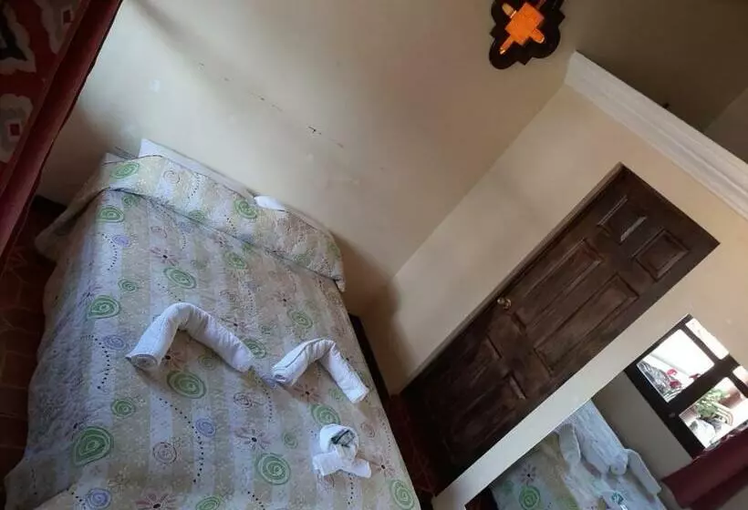 هاستل Posada San Felipe