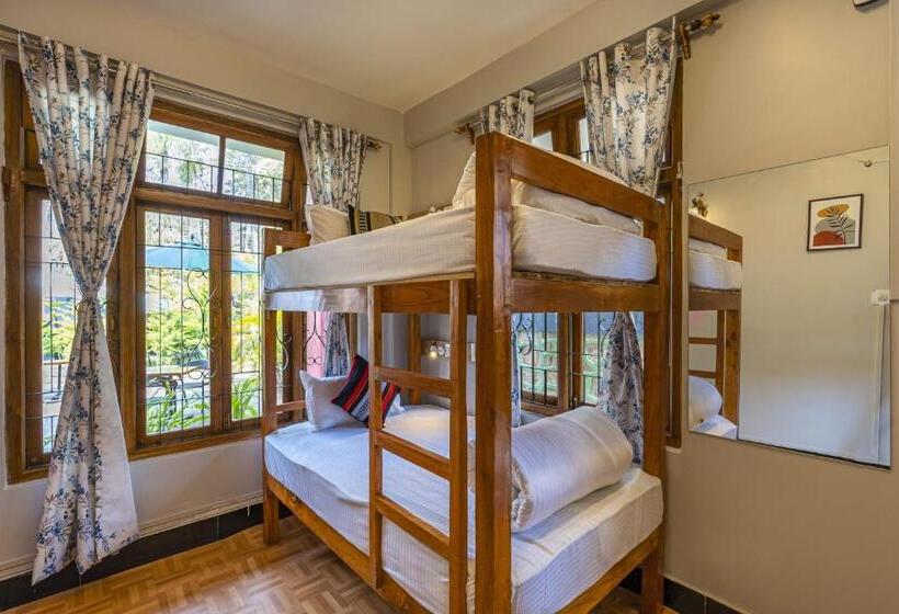 호스텔 Zostel Shillong