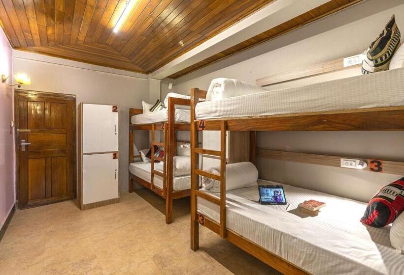 호스텔 Zostel Shillong