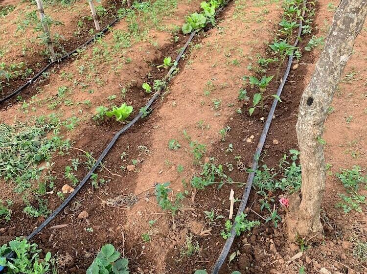 بنسيون Joe S House