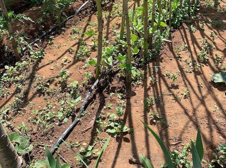 بنسيون Joe S House