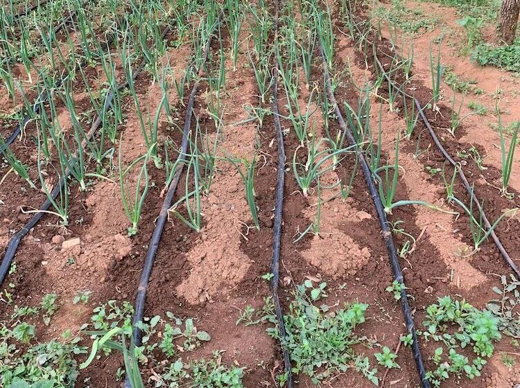 بنسيون Joe S House