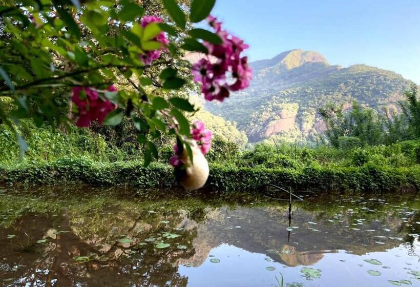 호텔 Eco Lodge Meemure & Adventure Park