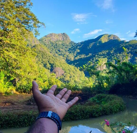 호텔 Eco Lodge Meemure & Adventure Park