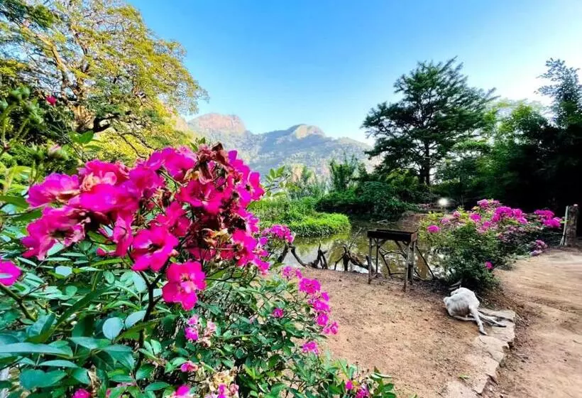 Hotelli Eco Lodge Meemure & Adventure Park