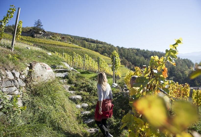 酒店 Fink Restaurant & Suites