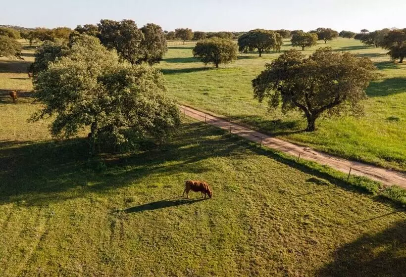 ホテル Vila Gale Collection Monte Do Vilar