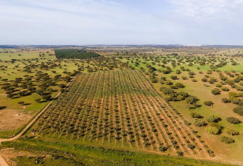 Отель Vila Gale Collection Monte Do Vilar