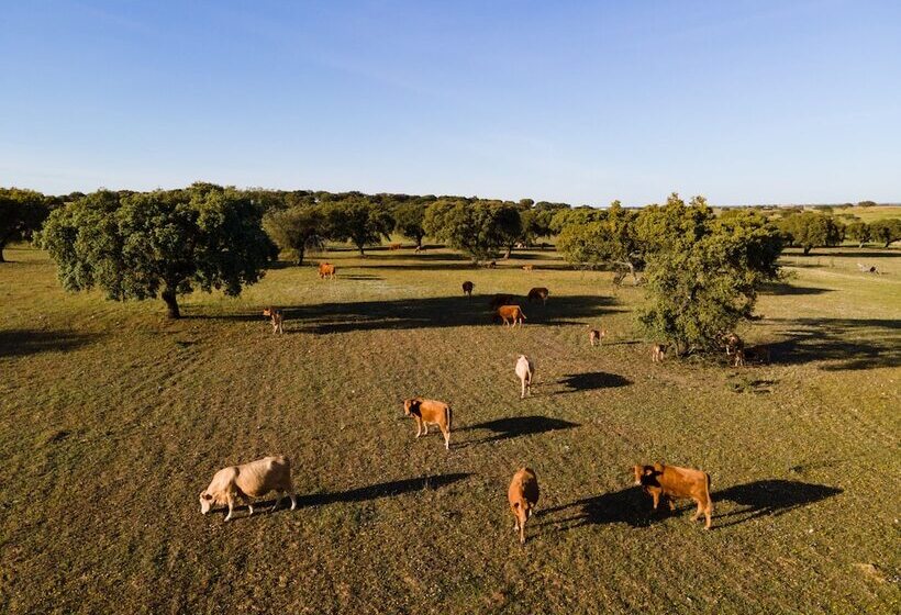 ホテル Vila Gale Collection Monte Do Vilar