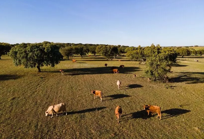 ホテル Vila Gale Collection Monte Do Vilar