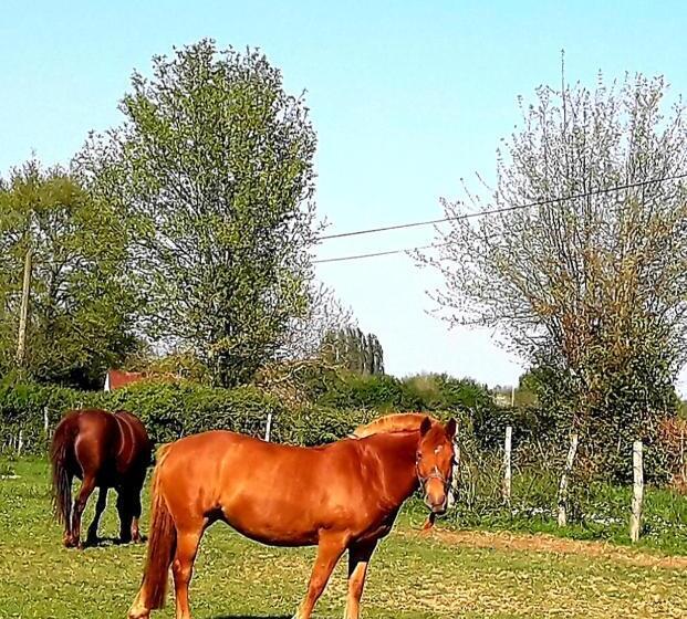 مبيت وإفطار Chambre D Hôte Avec Piscine Couverte