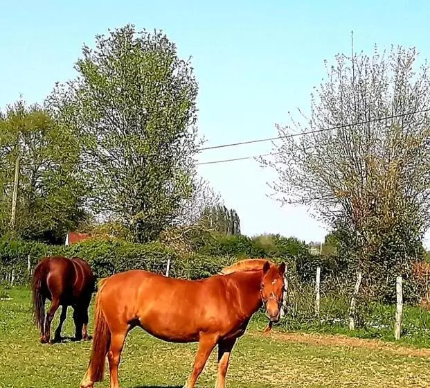 Aamiaismajoitus (B&B) Chambre D Hôte Avec Piscine Couverte