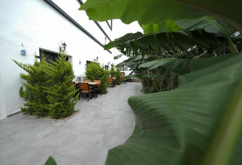 فندق Umbelo Suites Dalyan